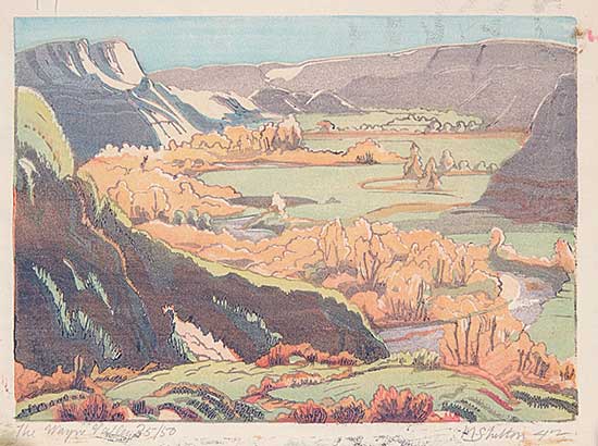 #104.1 ~ Shelton - The Wayne Valley  #35/50