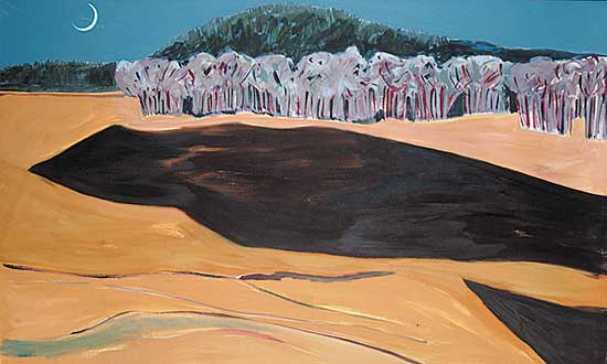 #301 ~ Ballachey - Dark Field