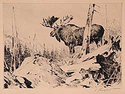#219 ~ Rungius - Alaska Wilderness