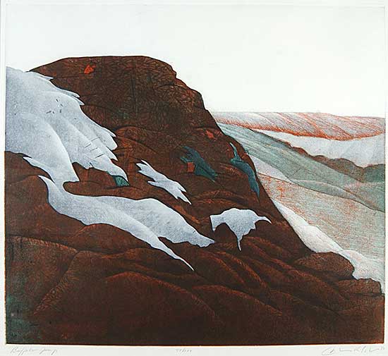 #17 ~ Esler - Buffalo Jump  #77/100