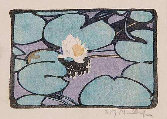 #30 ~ Phillips - The Lily