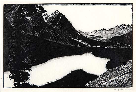 #33 ~ Phillips - Mistaya Valley [Peyto Lake]