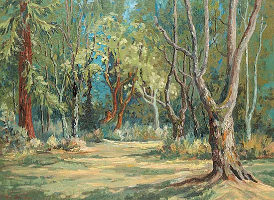 #45 ~ Harvey - Gold Stream Park, No. 2