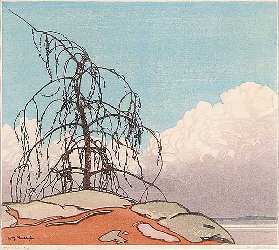 #95 ~ Phillips - Jack Pine  #2/100