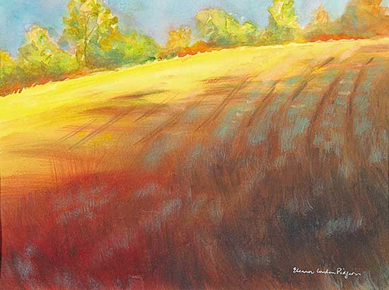 #577 ~ Pidgeon - Losing Sight of the Pond