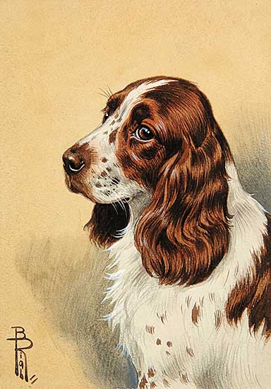 #585 ~ Riabouchine - Untitled - Brown and White Puppy with Brown Background