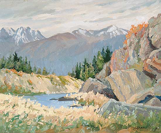 #598 ~ Shaw - Untitled - Mountain Stream