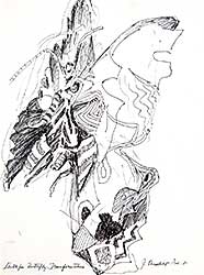 #111 ~ Shadbolt - Sketch for Butterfly Transformations
