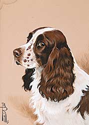 #589 ~ Riabouchine - Untitled - Brown and White Puppy