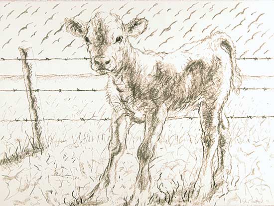 #25 ~ Fafard - Barb  #4/150