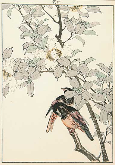 #213 ~ Keinen - Two Birds on a Branch with White Flower