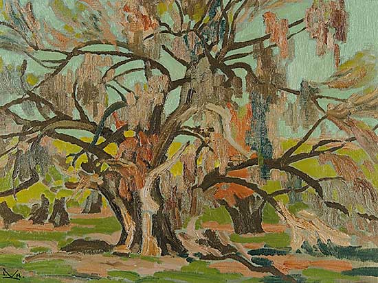 #76 ~ Kerr - Mesquite Tree, Mesa, Arizona
