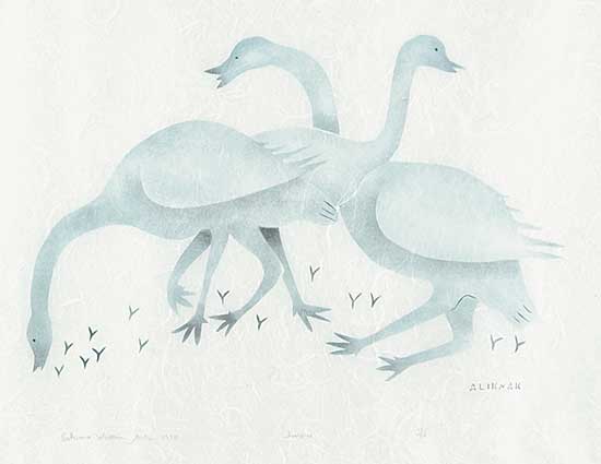 #445 ~ Aliknak - Swans  #16/50