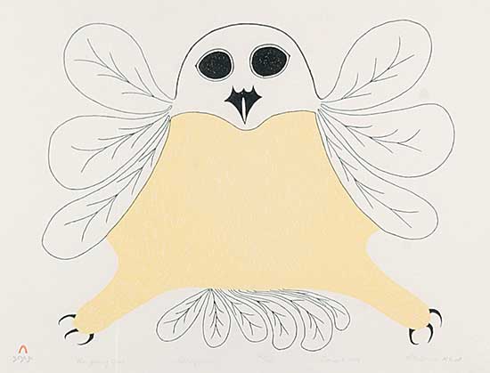 #455 ~ Saila - The Young Owl  #42/50