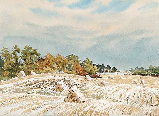 #478 ~ Luthi - Sep. Snow North of Raymore