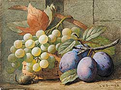 #213.2 ~ Slater - Untitled - Still Life of Grapes and Plums