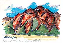 #414 ~ Beder - Pyramid Mountain Jasper [and seven others]