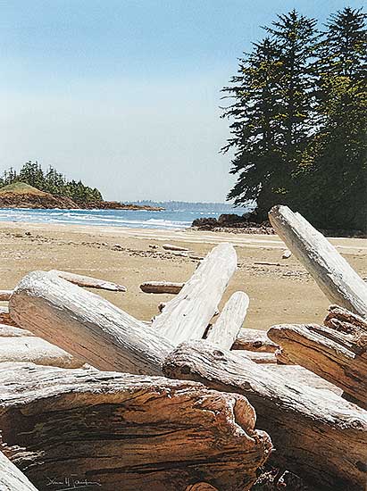 #414 ~ Camping - Logs on Schooner Beach, Pacific Rim