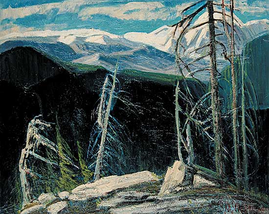 #509 ~ Messner - Mount Seymour, B.C.