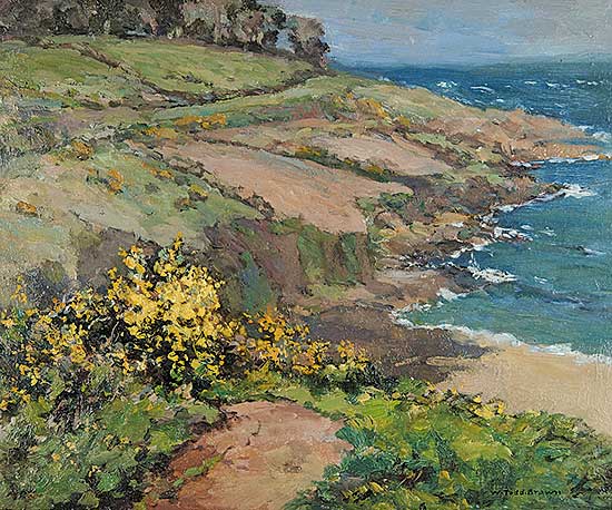 #606 ~ Brown - Untitled - British Coastline