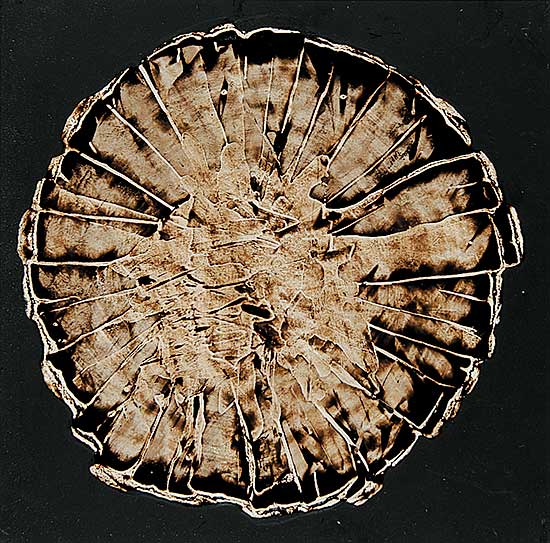 #714 ~ McKay - Untitled - Mandala on Black Background