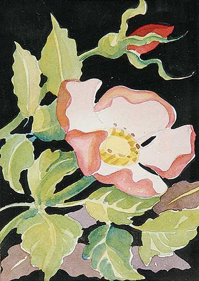 #823 ~ Brown - Untitled - Wild Rose