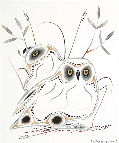 #832 ~ Cobiness - Untitled - Owls