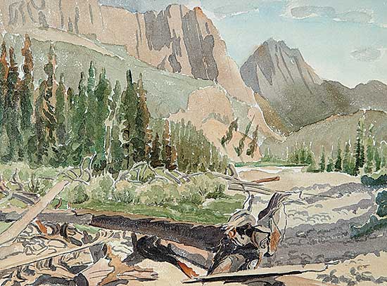 #926 ~ Shelton - Untitled - Dry Riverbed