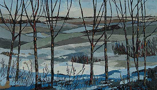 #965 ~ Van Belkum - Snow Fields