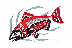 #3 ~ Amos - Spawning Salmon  #27/125