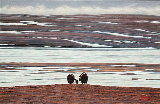 #11 ~ Brown - Untitled - Musk Ox on the Tundra