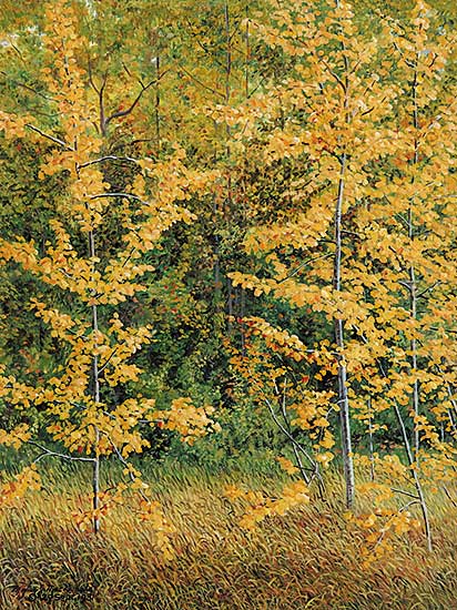 #90 ~ MacDonald - Late Afternoon Outside My Studio - Late September