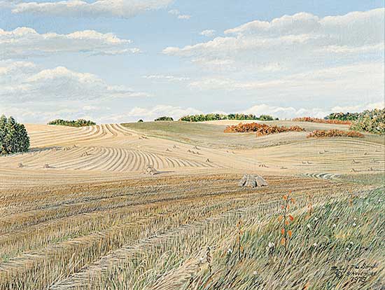 #91 ~ MacDonald - Peter Noster's Hillside [2 miles East Derwent, AB]