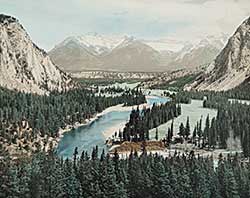 #405 ~ Noble - Bow Valley