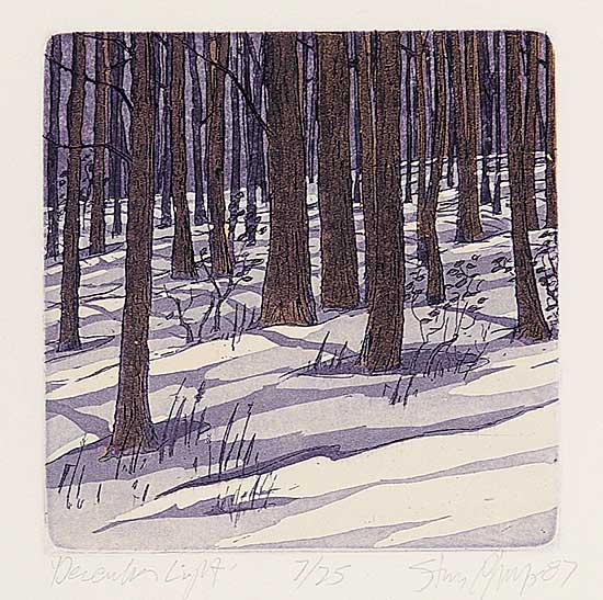 #84 ~ Phelps - December Light  #7/25