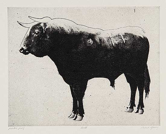 #119 ~ Young - Bull  #Printer's Proof