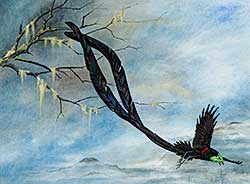 #261 ~ Walcot - Untitled - Bird of Paradise