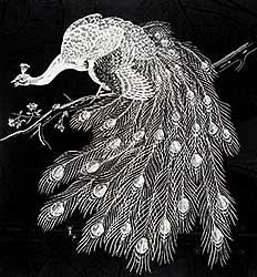 #263 ~ Walcot - Untitled - Peacock