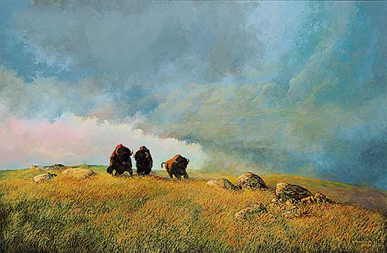 #1 ~ Achtimichuk - Untitled - Buffalo and Approaching Storm