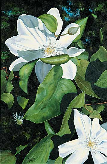 #401 ~ Adams - White Clematis