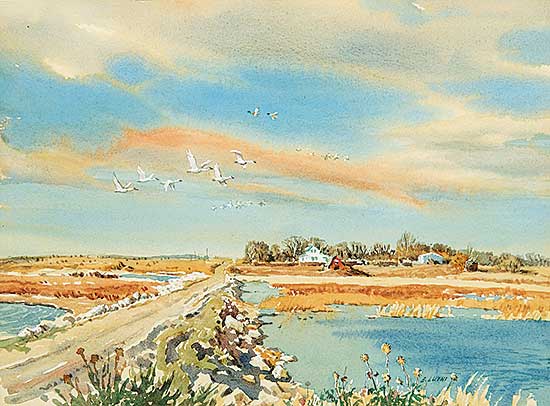 #479 ~ Luthi - Untitled - Lost Mountain Wildlife Area