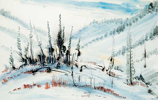 #484 ~ MacDonald - Spruces in Snow