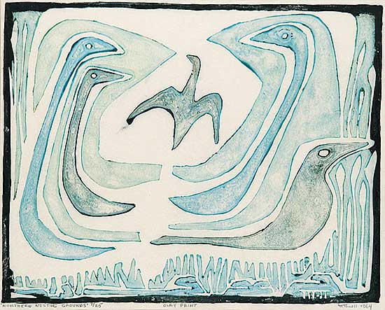 #507 ~ Nicoll - Northern Nesting Grounds  #7/25