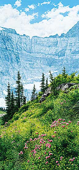 #528 ~ Pilch - Hiker's Garden