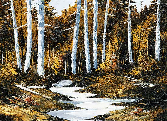 #546 ~ Scott - Sunlight Birches