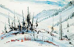 #484 ~ MacDonald - Spruces in Snow