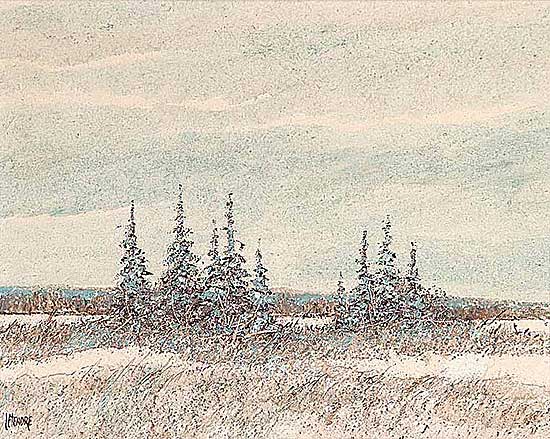 #76 ~ Letendre - Blue Northern Spruce
