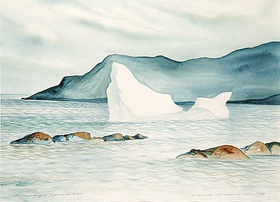 #5 ~ Blackwood - Stranded Berg in Greenspond Tickle