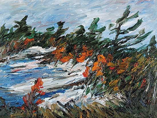 #77.2 ~ Steinhoff - Franklin Island Shore