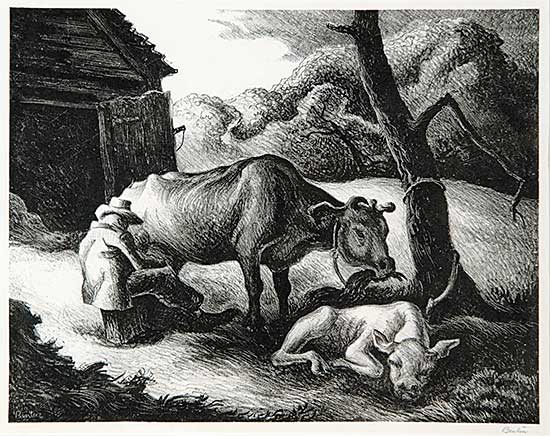 #408 ~ Benton - White Calf